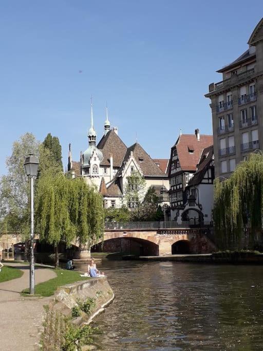 Strasbourg 3 Pieces Avec Jardin Daire Brumath Dış mekan fotoğraf